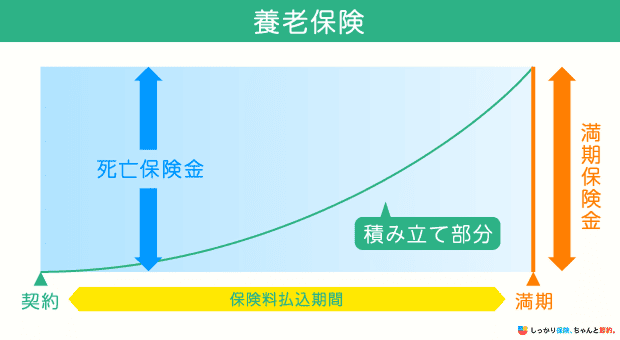 養老保険の仕組み