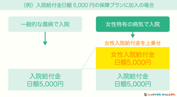 女性保険と医療保険の違い