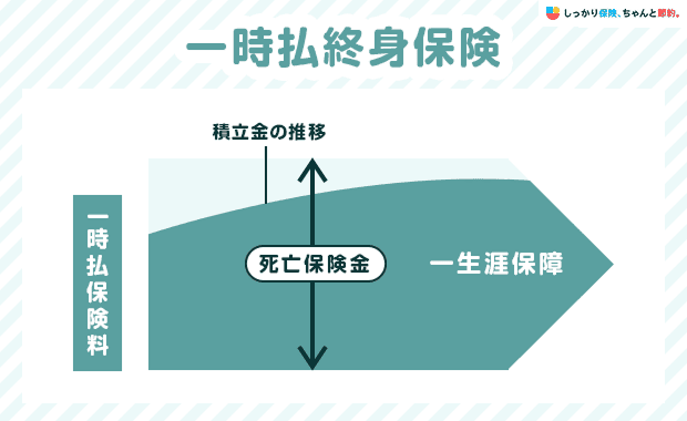 一時払終身保険の詳細:死亡保険金が変化する。