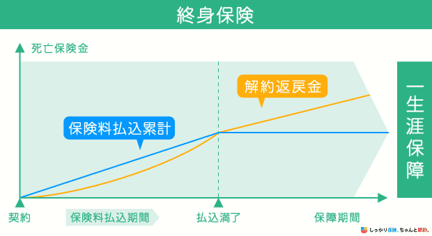 終身保険