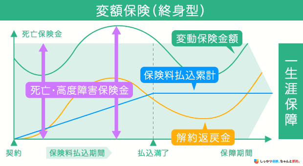 変額保険（終身型）