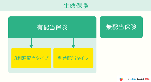 有配当生命保険と無配当生命保険