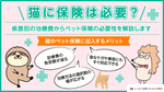 猫に保険は必要？ 疾患別の治療費からペット保険の必要性を解説します