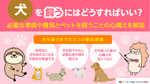 犬を飼うにはどうすればいい？必要な準備や費用とペットを飼うことの心構えを解説