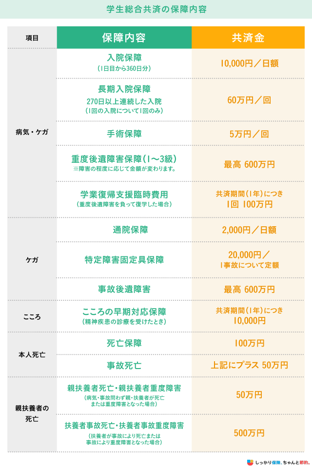 学生総合共済の保障内容