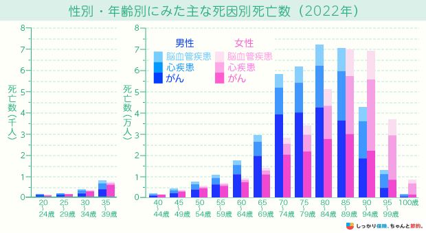 性別・年齢別にみた主な死因別死亡数(2022年)