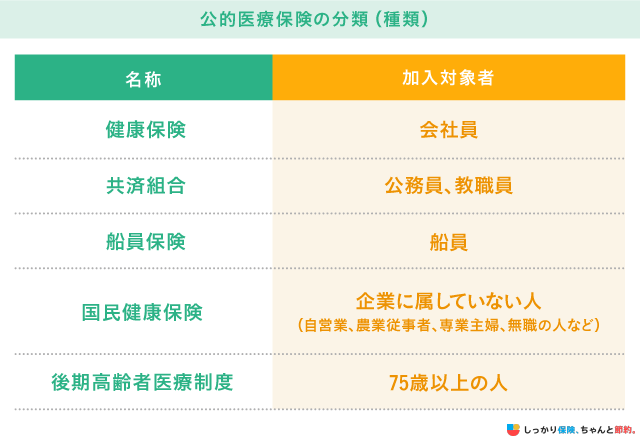 公的医療保険の分類（種類）