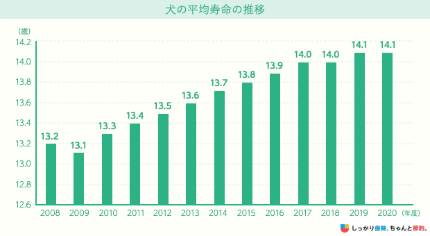 犬の平均寿命の推移