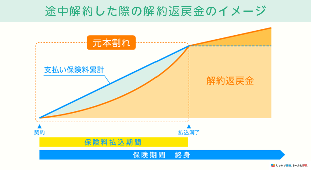 途中解約した際の解約返戻金のイメージ