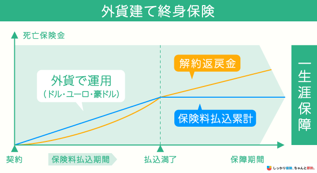 外貨建て終身保険