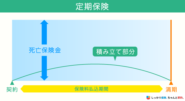 定期保険