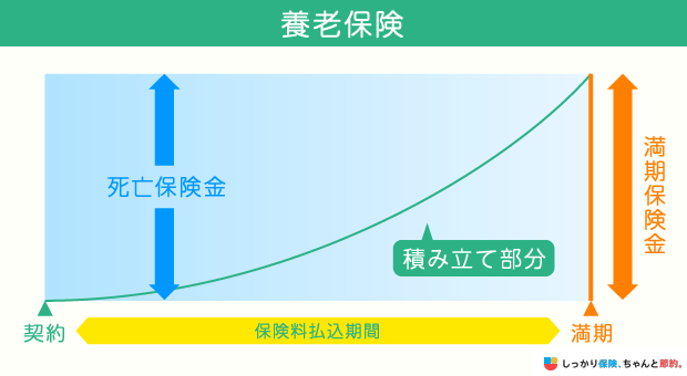 養老保険