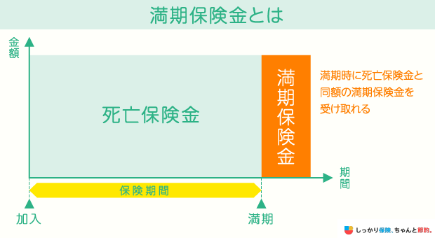 満期保険金とは