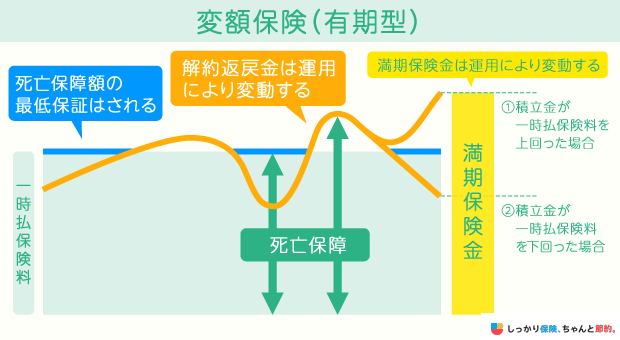 変額保険(有期型)の仕組み