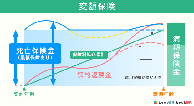 変額保険