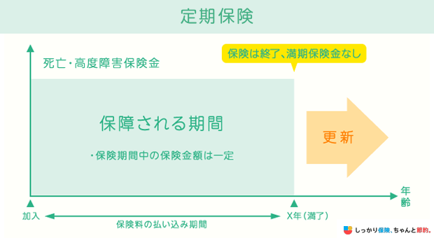 定期保険