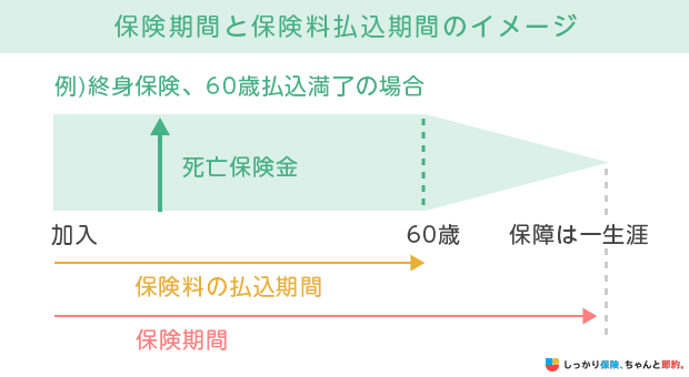 保険期間と保険料払込期間のイメージ