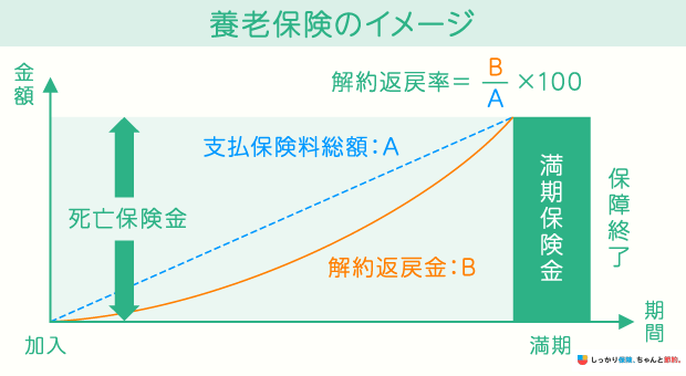 養老保険のイメージ