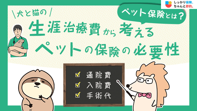 ペット保険はいらない？犬・猫の治療費から検討する必要性や後悔しないための比較ポイントを解説
