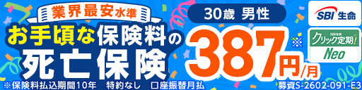SBI生命定期保険